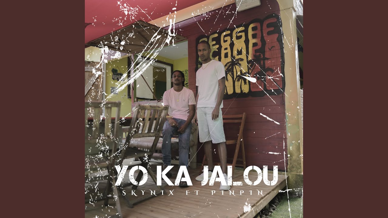 Skynix X PinPin (Yo Ka Jalou)