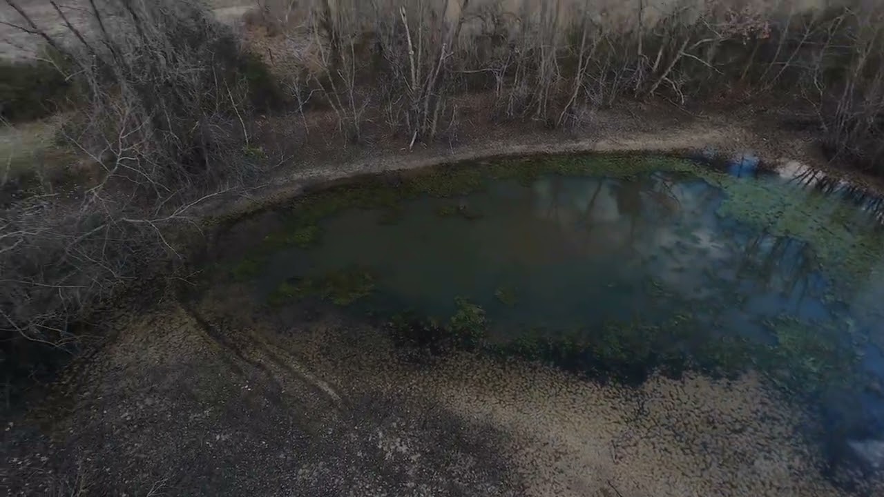 Avata 2 Blue Heron Discovery 4K/60fps (1/14/26)