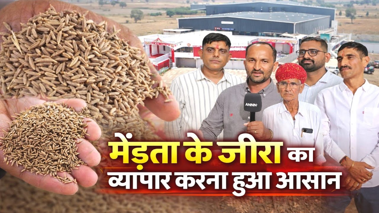 मेडता जीरा मंडी की बड़ी खबर | Jeera Trade in Merta Rajasthan | Cumin Seed Business 