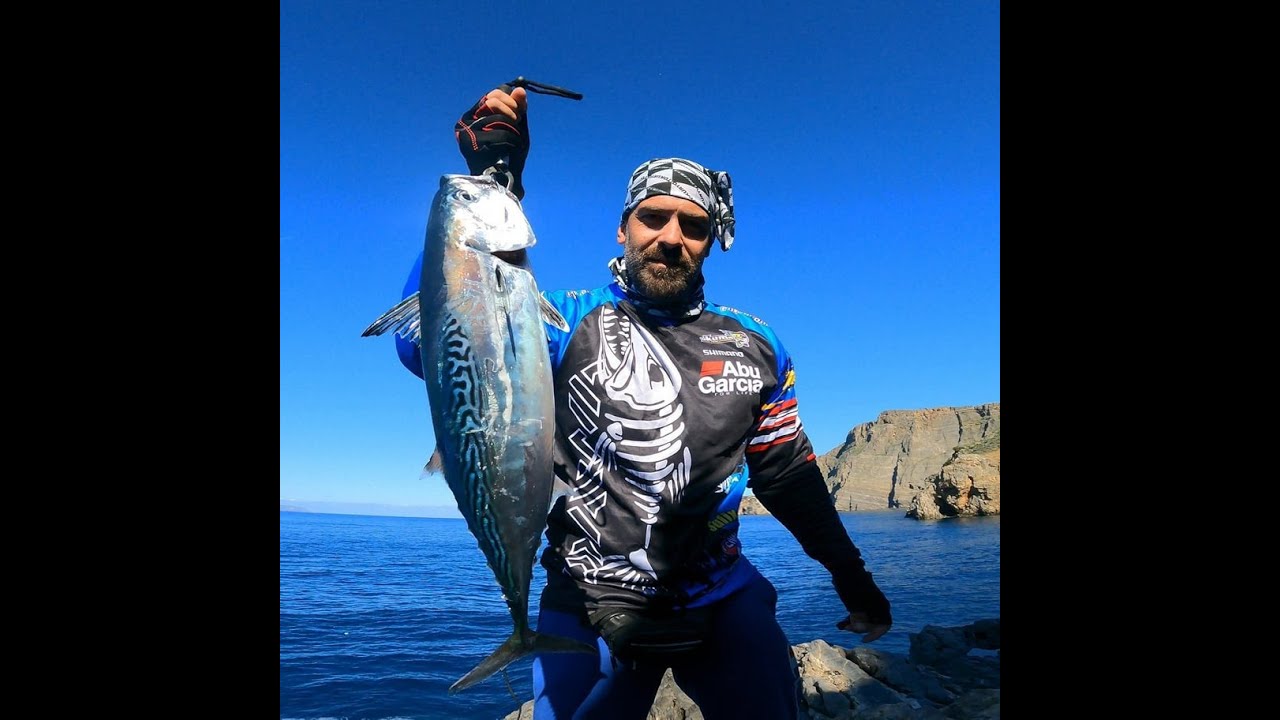 shore jigging live strike albacore