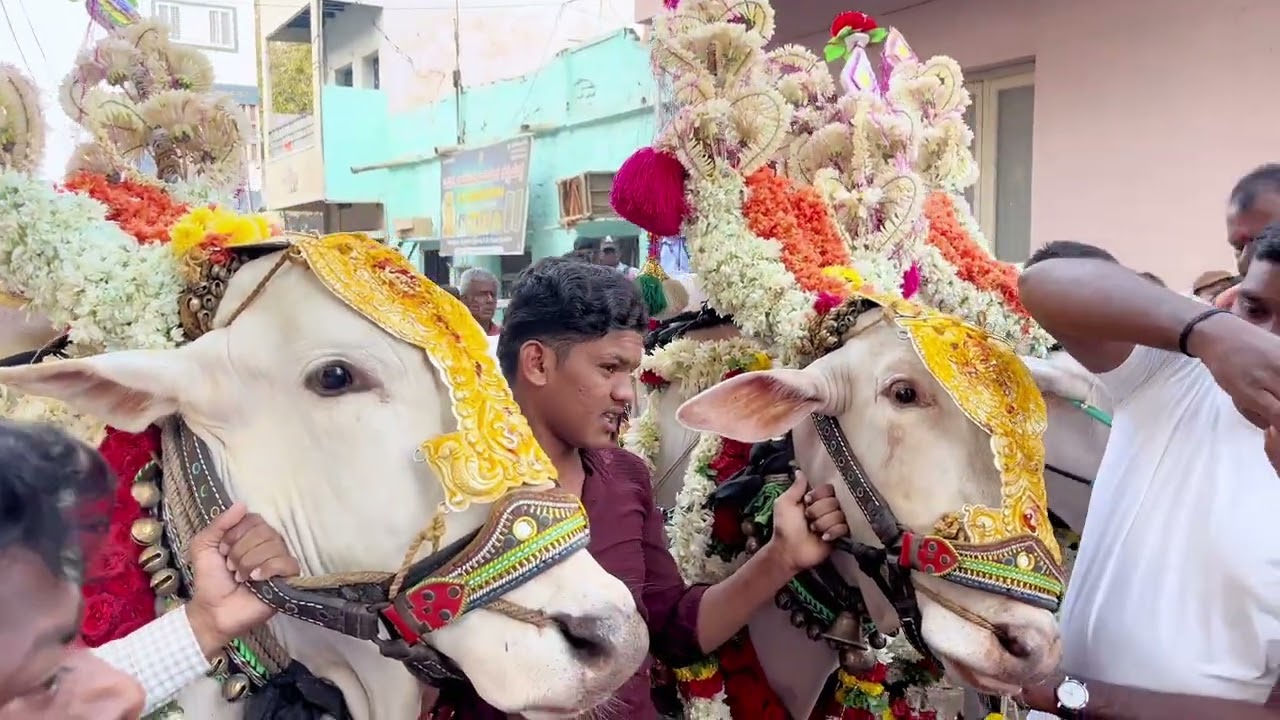 Ballari kanaka Durgamma si￼di bandi….🙏 #karnataka #ballari #kanakadurgamma #video 