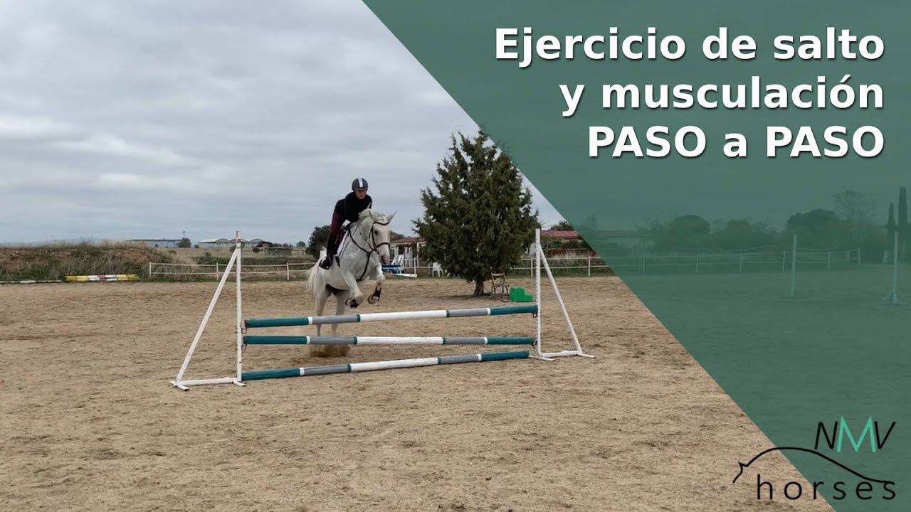 🐴Ejercicio de salto para trabajar a tu caballo🐴aprende a montar a caballo🐴