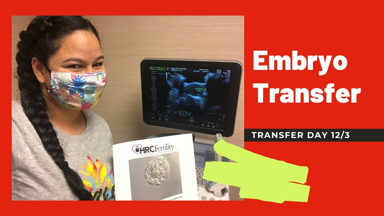 Embryo Transfer Day! (& some transfer superstitions) | My Surrogacy Journey