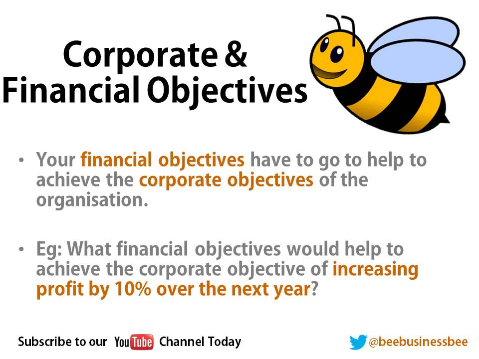 Bee Business Bee Financial Objectives Presentation