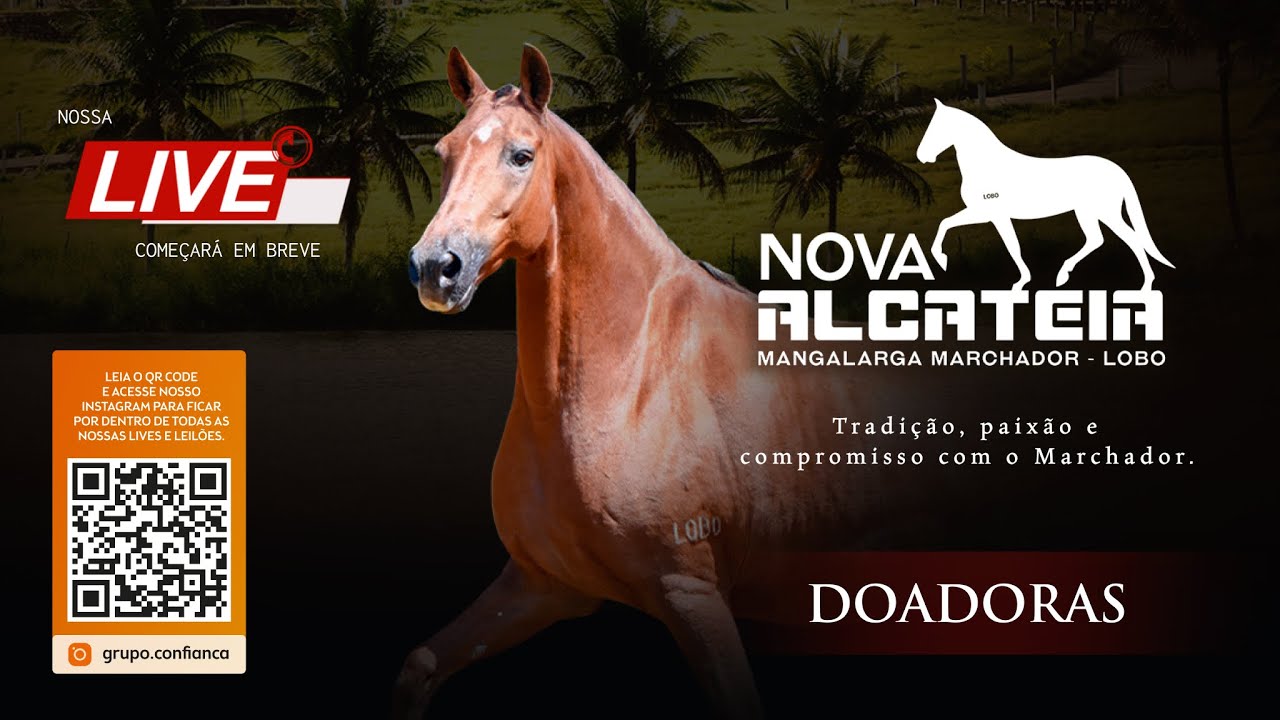 Live de Doadoras -  Haras Nova Alcatéia