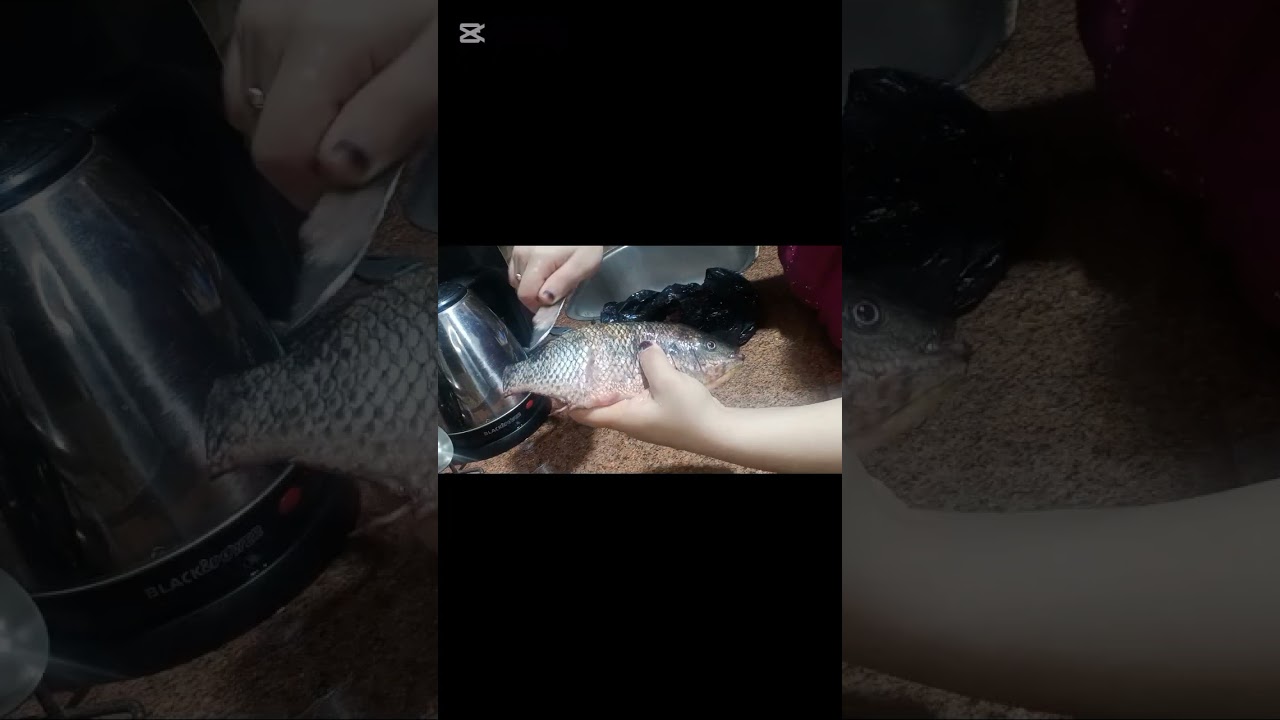 عماتي اخوات جوزي جوم ومسكافيه واتخانقوا معايا بسبب حمايا وسلفتي احكموا يا جماعه ده يرضي ربنا💔😭