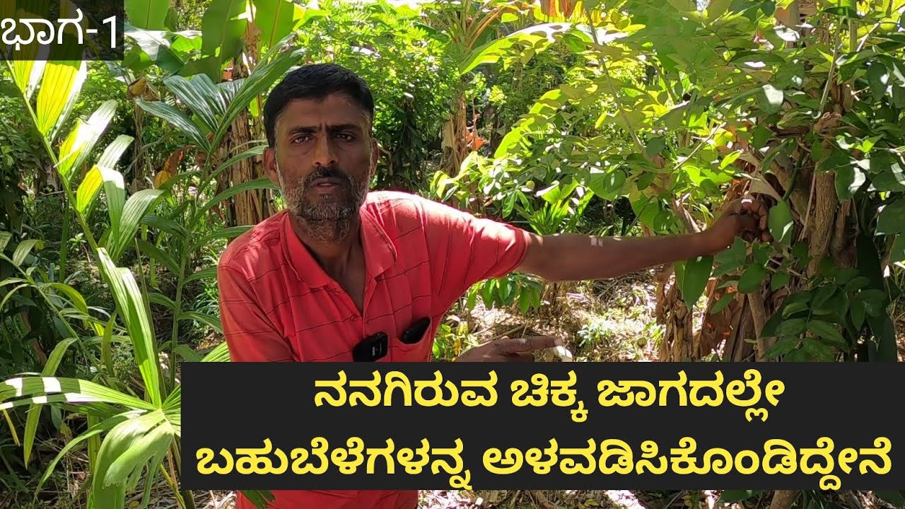 ಮನೆಯ ಹಿಂದೆಯೇ ಇವರ ತೋಟವಿದೆ... ಮೊದಲೇ ಇದ್ದ ತೆಂಗಿನ ಮರದ ಕೆಳಗೆ ಯಾವ ಯಾವ ಬೆಳೆಗಳನ್ನ ಆಯೋಜಿಸಿಕೊಂಡಿದ್ದಾರೆ ಗೊತ್ತಾ