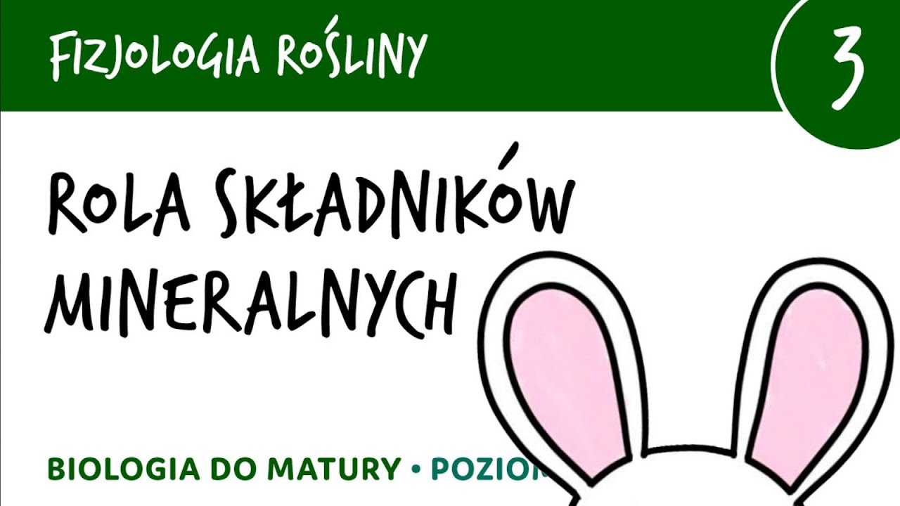 Fizjologia roślin 3 🌱 Rola składników mineralnych, sole mineralne - znaczenie - matura z biologii