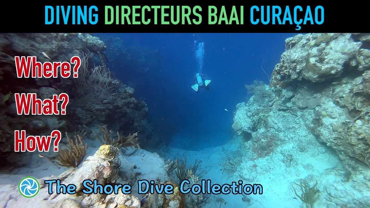 Diving Directeurs Baai Curaçao | The Shore Dive Collection | TropicLens - 4K