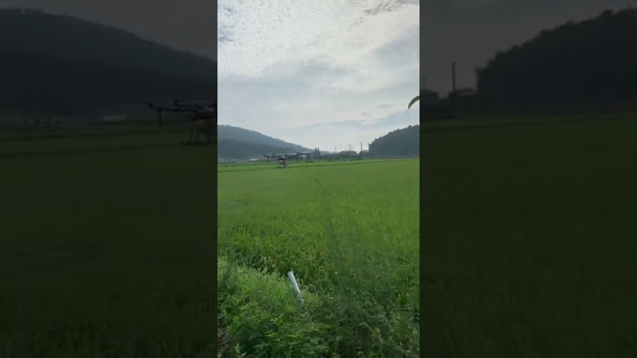 Nyemprot padi pkai mesin Drone