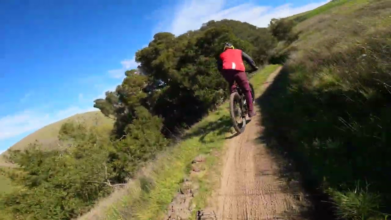 Crockett Hills-Tree Frog-MTB #goprolifestyle #mtblife #adventure