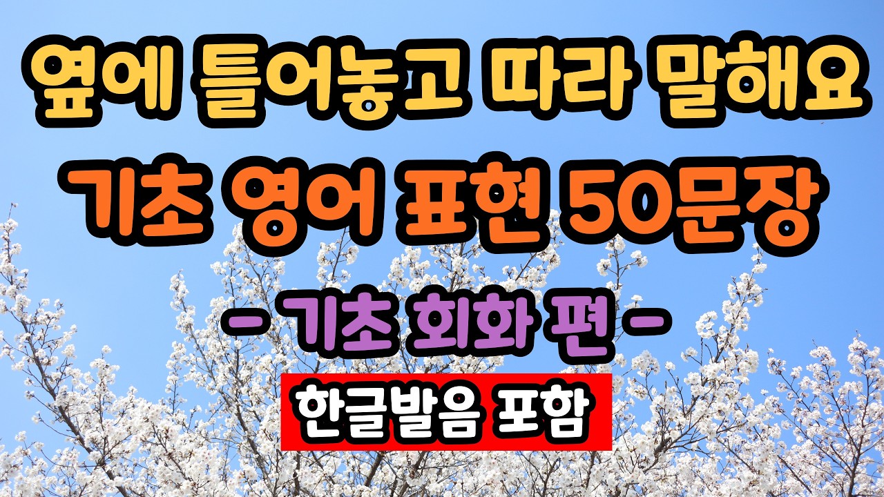 기초 생활 영어 표현 50문장 #8 | 편하게 틀어 놓는 기초 영어 회화 듣기
