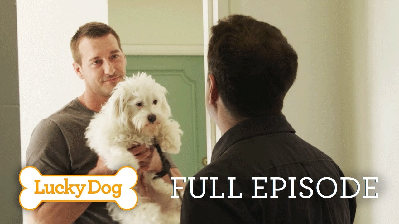 Stray Dog Becomes a Therapy Dog for Kids!  Mitzi | Lucky Dog Full Episode