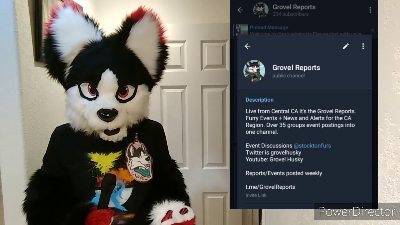 Grovel Reports 6/8/20 (FurCon updates + Upcoming Events)