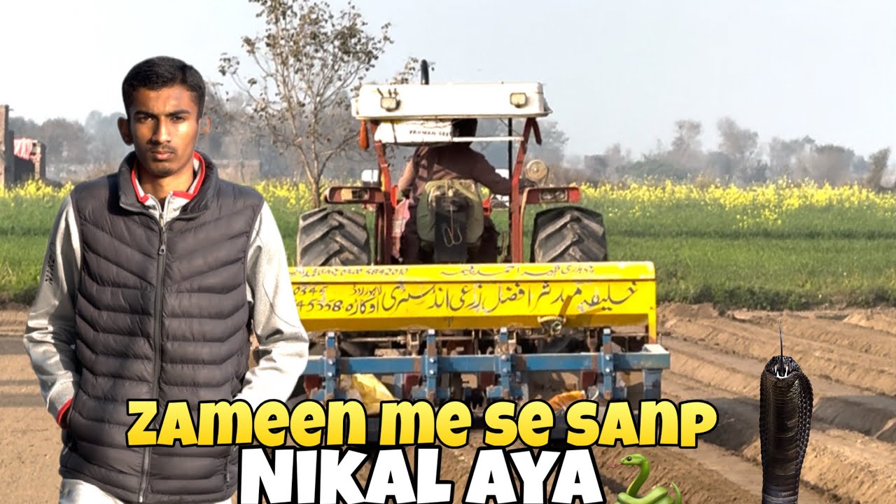Aj apni zameen me makai laga di 🌽