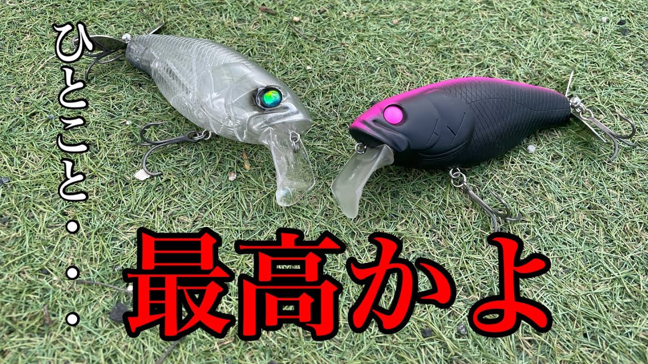 【バス釣り】ひとこと・・・最高かよ