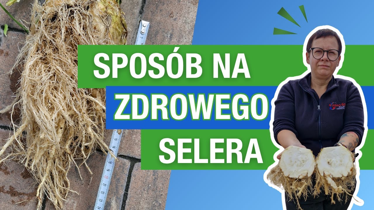 SPOS&Oacute;B NA ZDROWEGO SELERA
