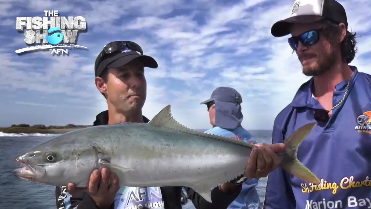 Stickbaiting Kingfish