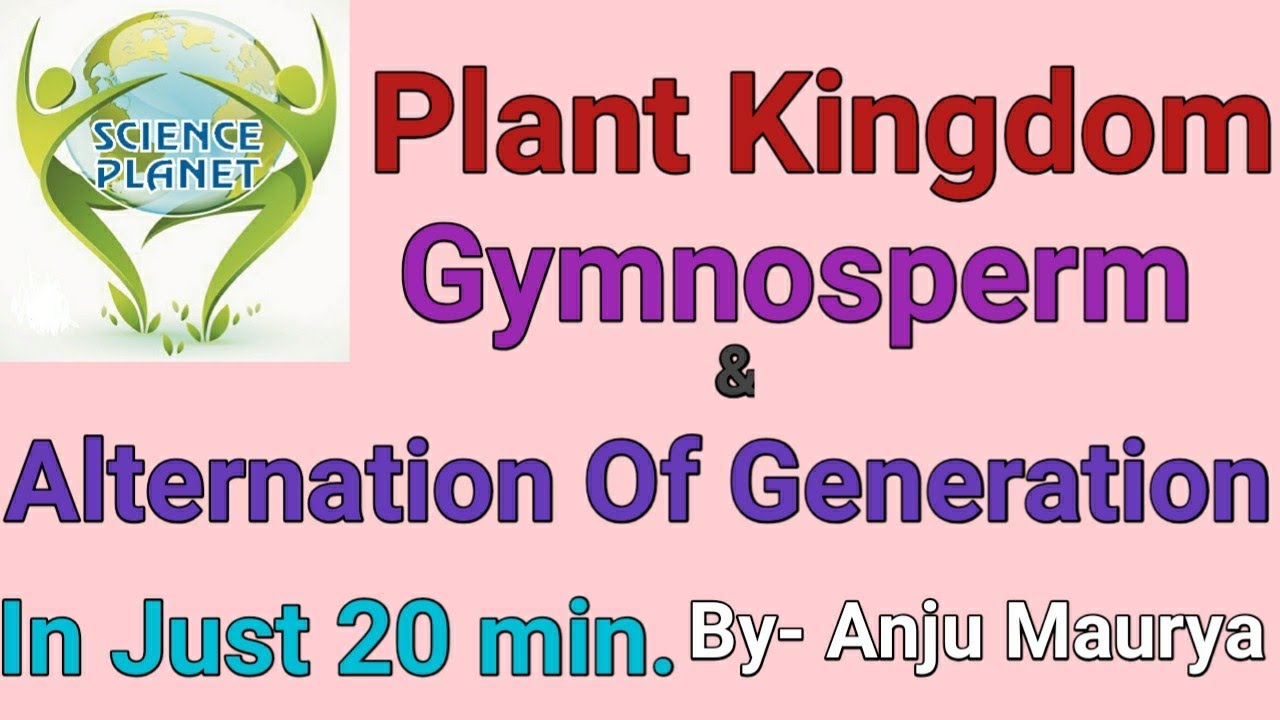 Plant Kingdom!!  Gymnosperm!!  Alternation of Generation!!  By- Anju Maurya!!