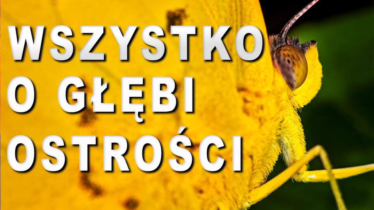 👉GŁĘBIA OSTROŚCI w fotografii. Wszystko co musisz wiedzieć. Super Tutorial Foto.