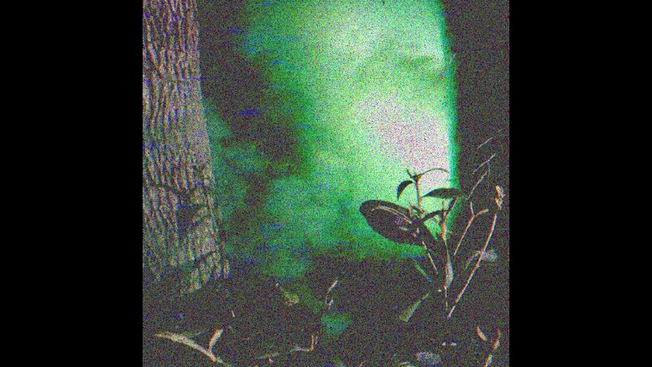 8BIT WIZRD - Backed Down