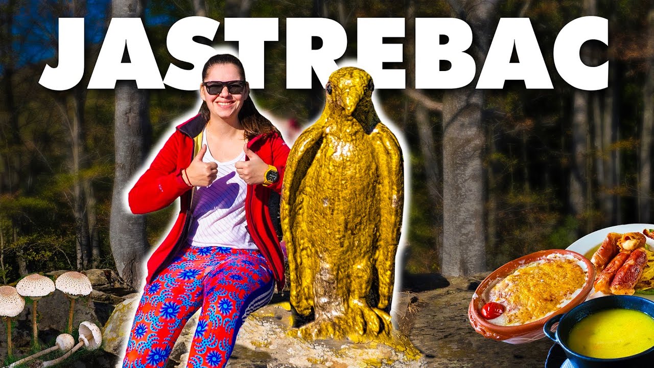 Jastrebac za početnike! Brali i JELI ŽIVE PEČURKE na planini! Ručak u restoranu nas ŠOKIRAO!