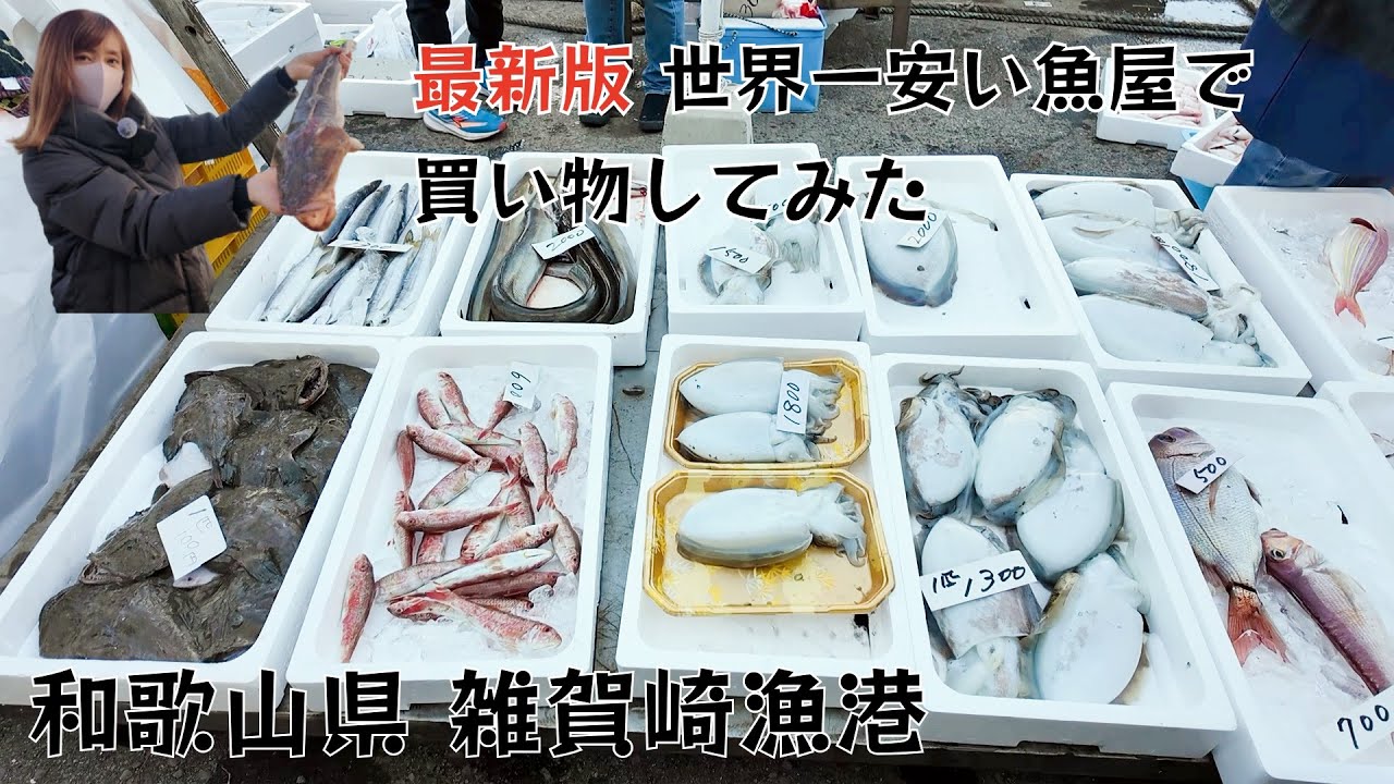 【激安】最新版 世界一安い魚屋で買い物してみた。和歌山県雑賀崎漁港 11月24日 #世界一#激安#雑賀崎漁港