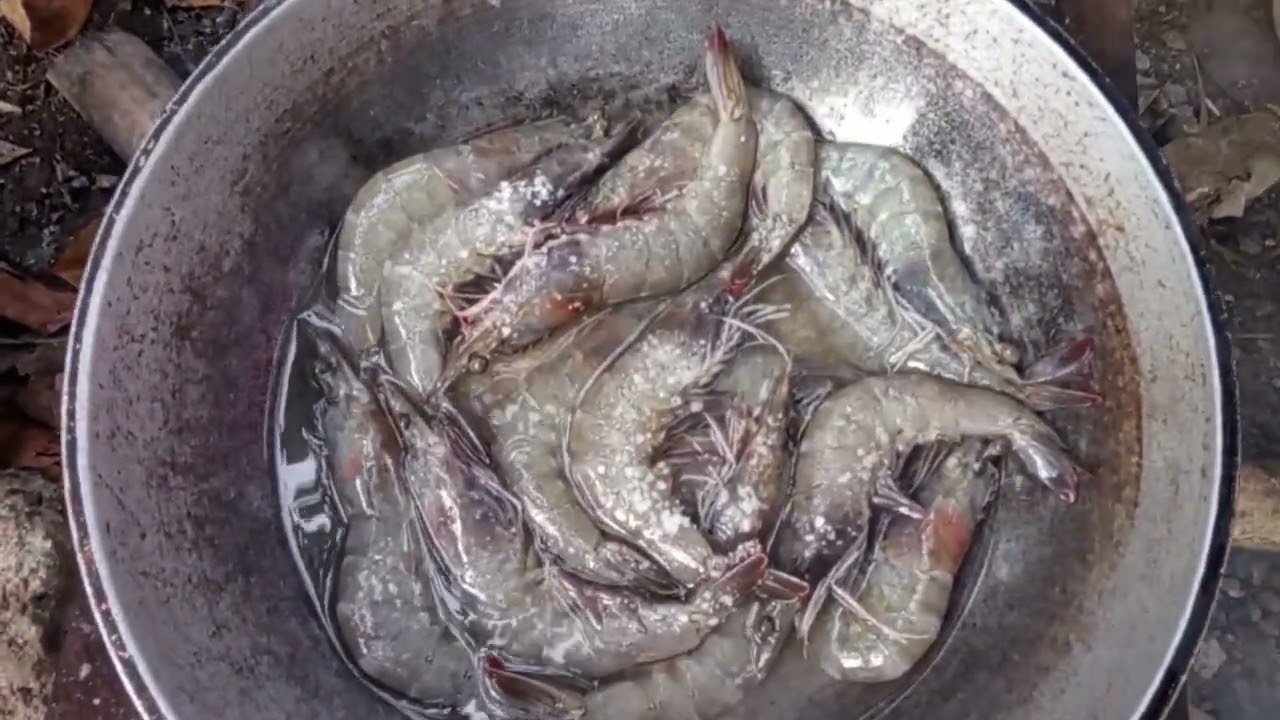 LUTO AKO NG ULAM ,AT GAGAWA NG KULUNGAN💪💪💪💪