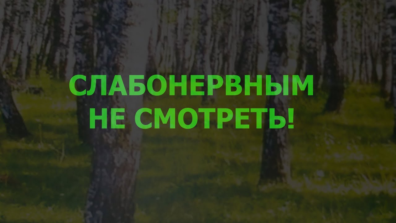 заточка в 2 камня, подъём угла 12/02/24