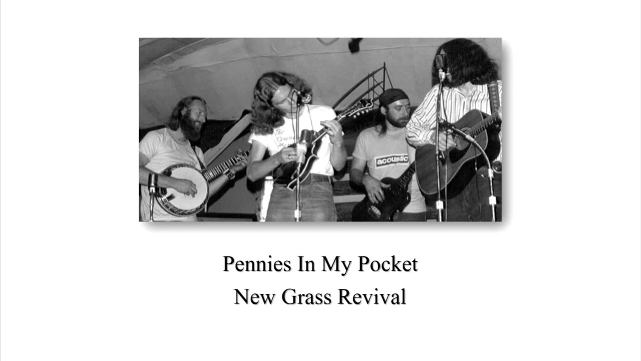 Pennies In My Pocket - New Grass Revival