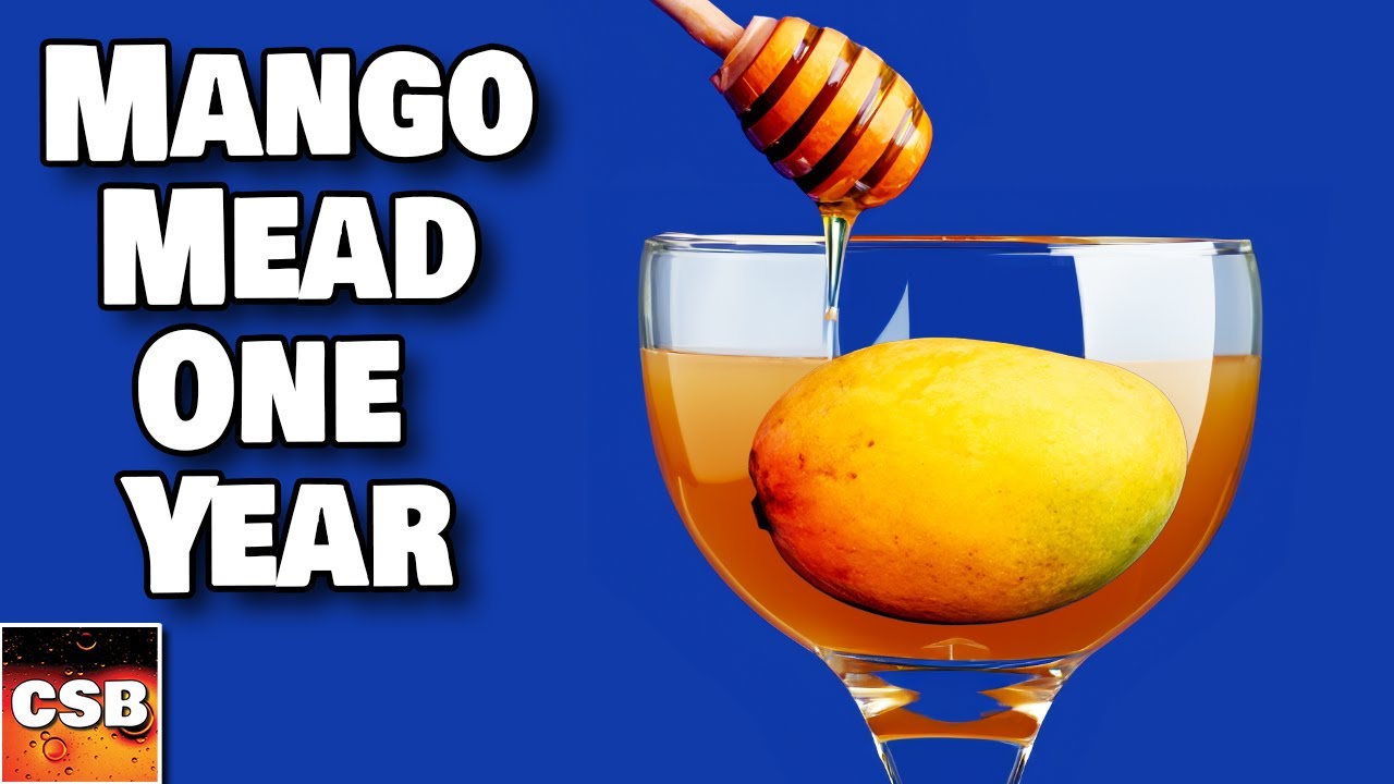 Mango Mead - AGED One YEAR!  Let's taste it.