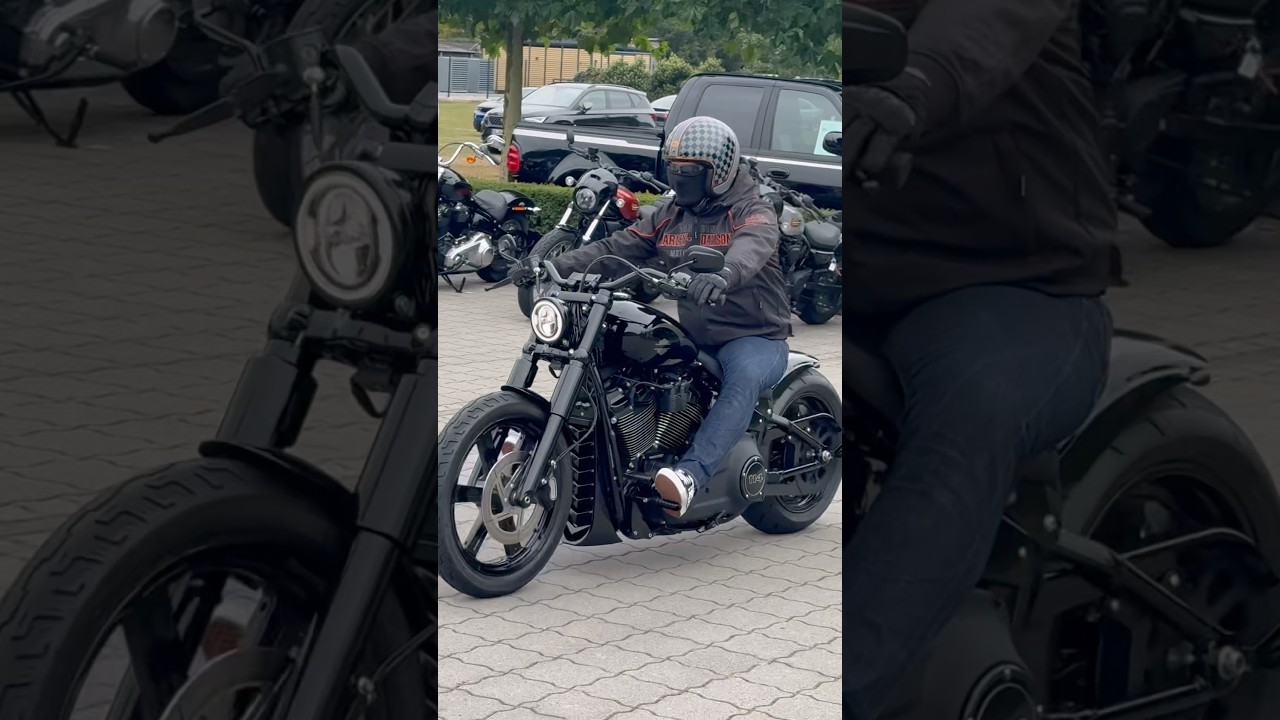 Harley Street Bob#harley #streetbob