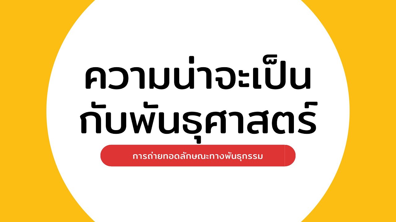 EP4: ความน่าจะเป็น (กฎการคูณ, กฎการบวก, การกระจายแบบไบโนเมียล)