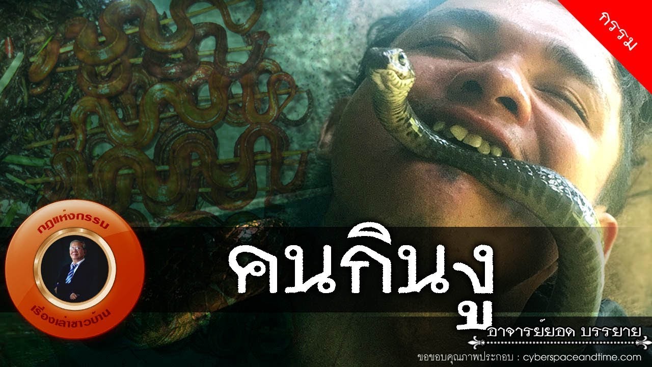 อาจารย์ยอด : คนกินงู [กรรม] new