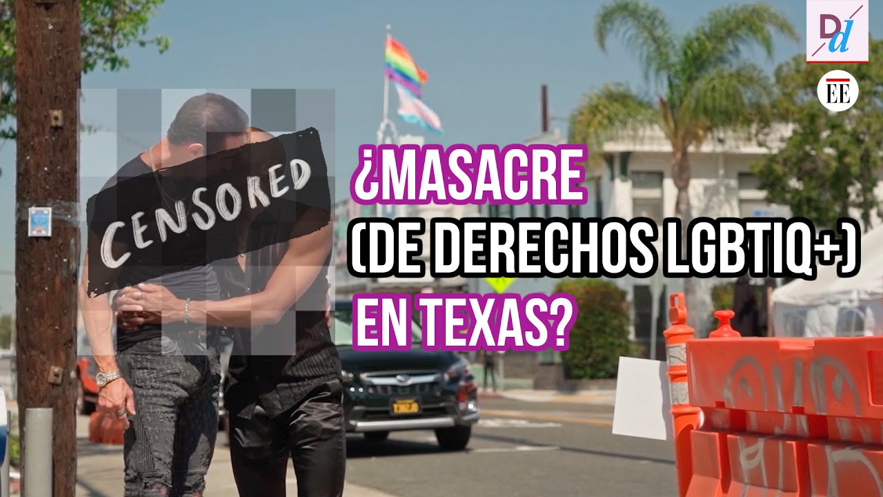 Eliminar la cebra arcoíris y vigilar baños: la cruzada anti LGBTIQ+ en Texas | La Disidencia