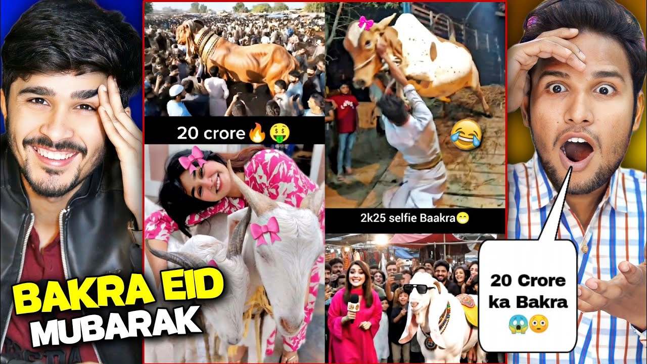 Reacting to Bakra Eid Special Memes😂 | Emotional + Funny | #garamsamosareaction
