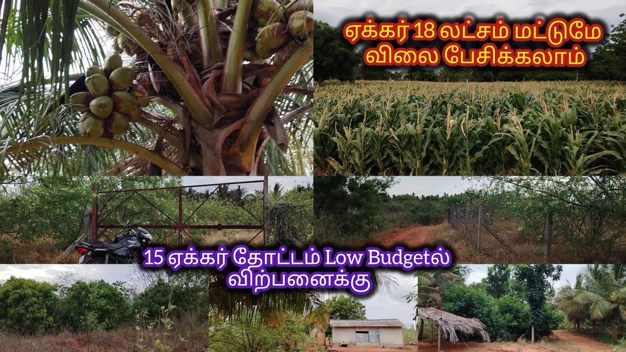 6379170190 திண்டுக்கல் to பழனி செல்லும் வழியில் ஓட்டன்சத்திரம் அருகில் 15 ஏக்கர் தோட்டம் விற்பனைக்கு
