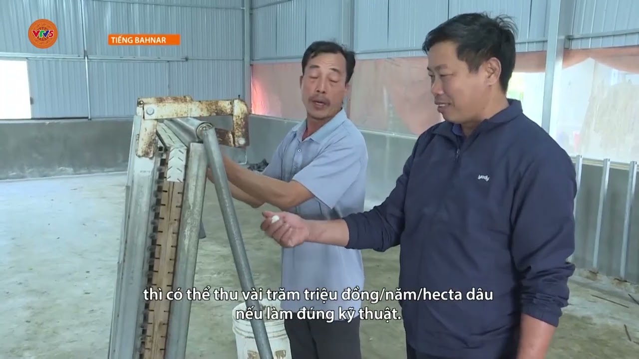 [TIẾNG BA NA] DỆT SINH KẾ TỪ LÁ DÂU TẰM Ở IA HRÚ | VTV5