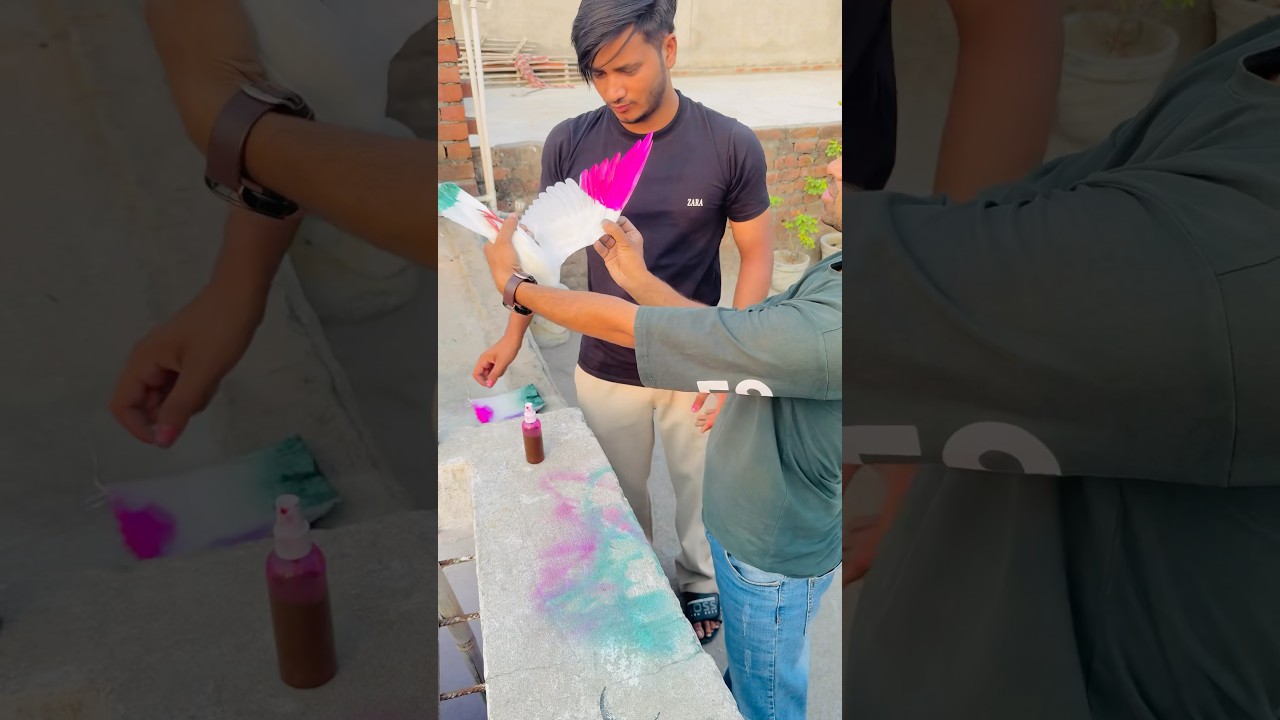 New design se colour kr diya kabutar ko 🔥🕊️ #pigeon #viralvideo #shortvideo #kabootar