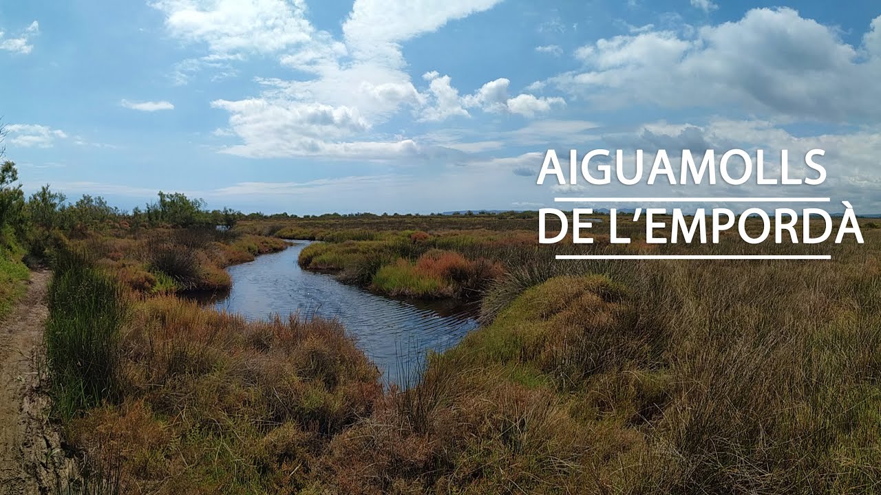 Parque Natural dels Aiguamolls de l'Empordà en bici