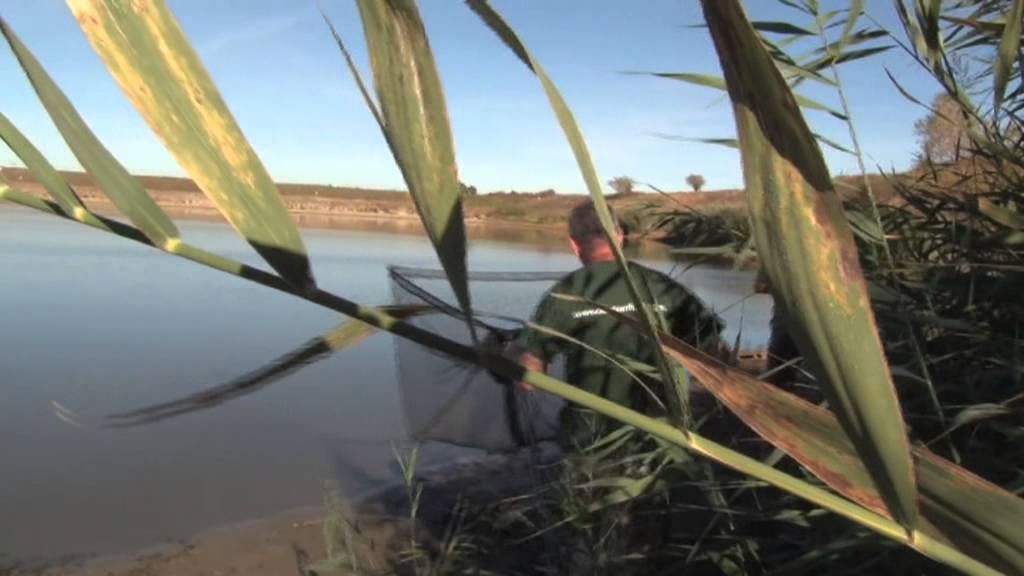 La crap cu Doctor Fishing-Toamna la Sisterea 4