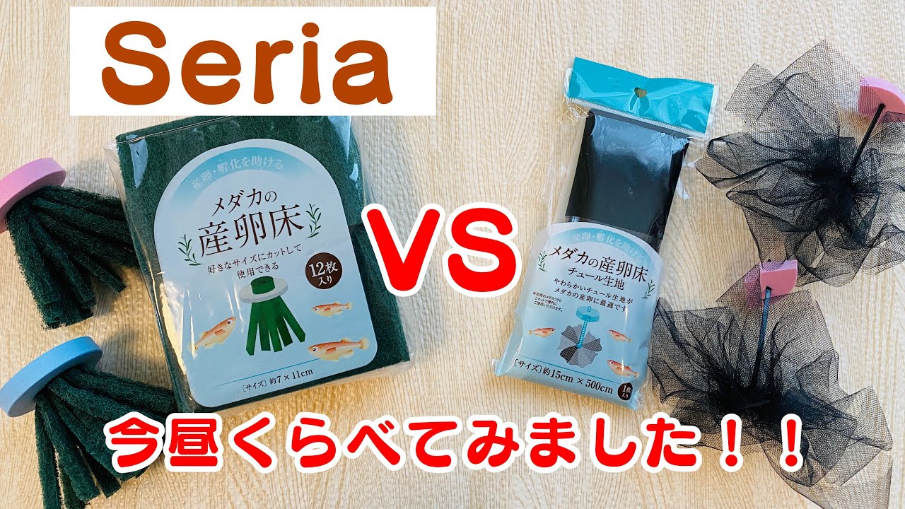 【メダカ産卵床】セリアのメダカ産卵床！タワシ生地とチュール生地徹底比較♪