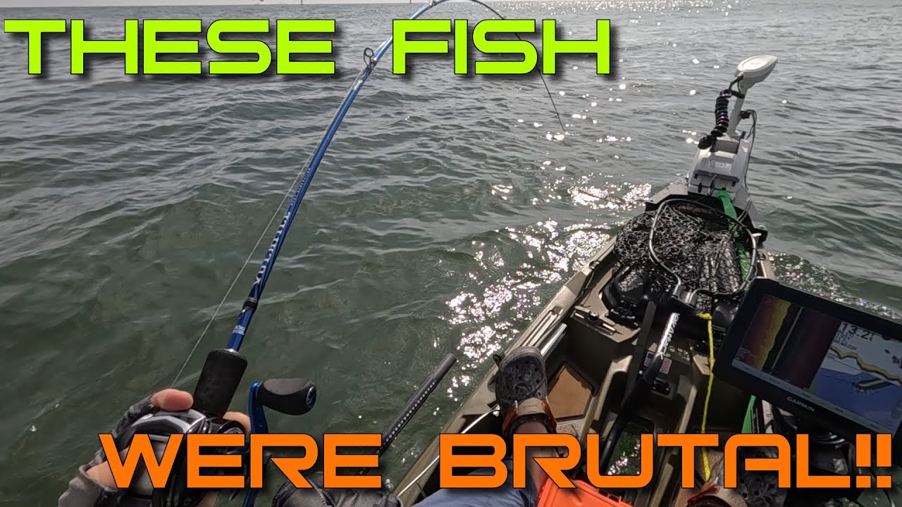 First Trip to Rudee Inlet - These Fish Were BRUTAL!!