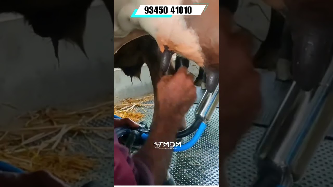 Top-Quality Electric Milking Machine for Cows, Buffalo🐄