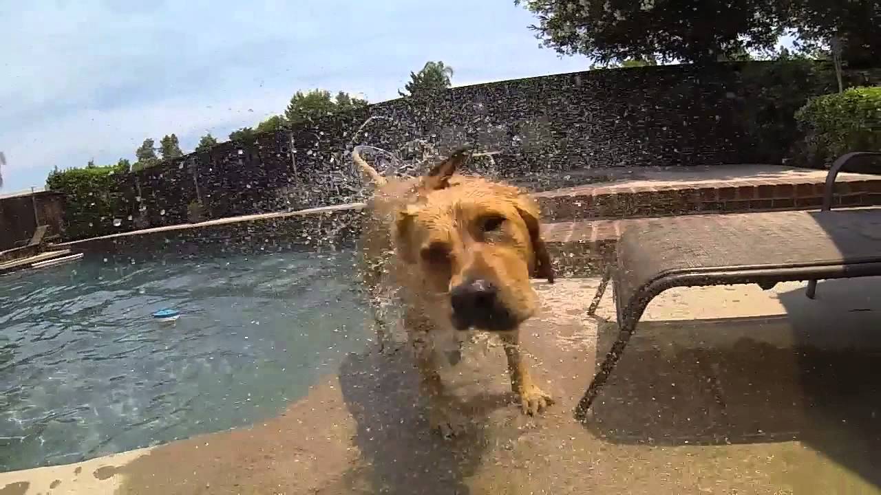 Difference between 1080p 60fps / 720p 120fps / WVGA 240fps (Slow mo)