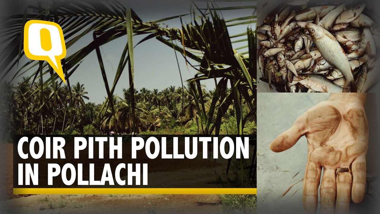 Tamil Nadu Elections 2021| Pollachi Villagers Want Pollution to Stop Ahead of Polls | The Quint