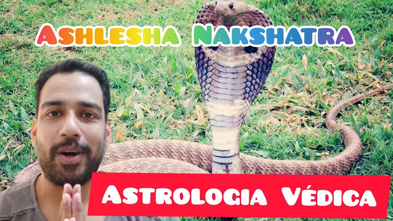 Câncer, Ashlesha Nakshatra - Astrologia Védica