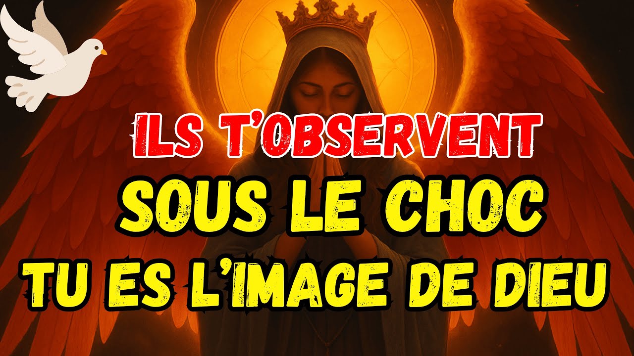 Elu, Ils ne croiseront plus jamais personne comme toi😱 Un groupe jaloux va tomber pour t’avoir ciblé