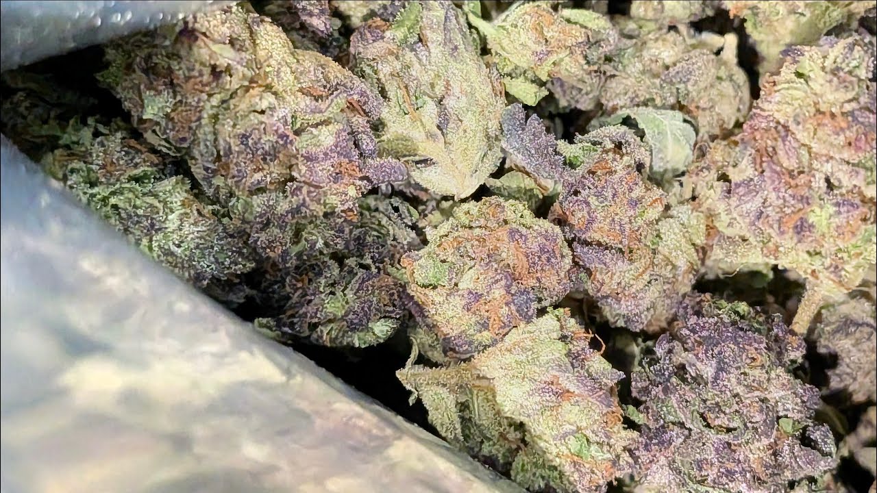 THCA SMALL BUDS | BLUE COOKIES🫐🍪 | Cheap Thca Flower Oz Section | tsb small buds review!!🔥