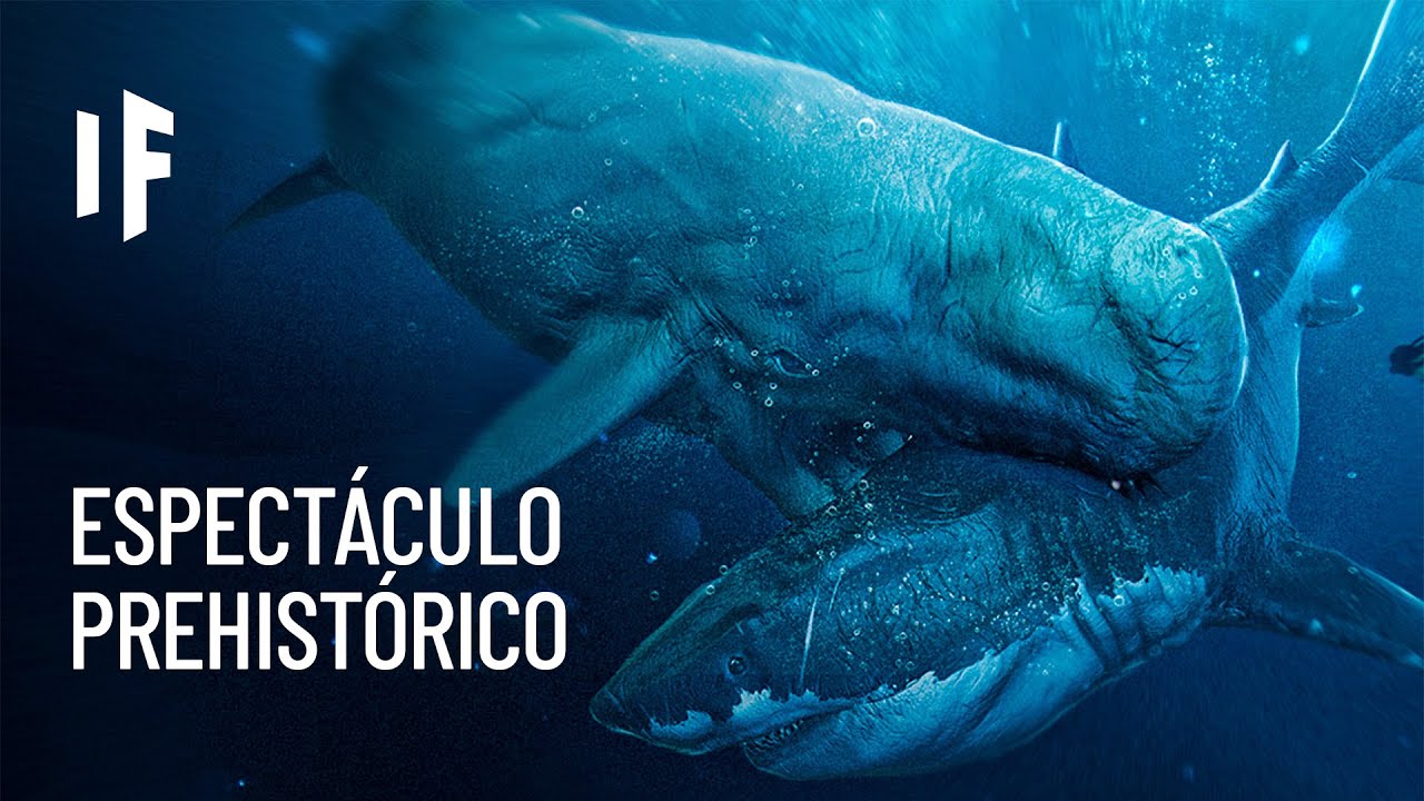 ¿Qué pasaría si un tiburón megalodón luchara contra una ballena leviatán?